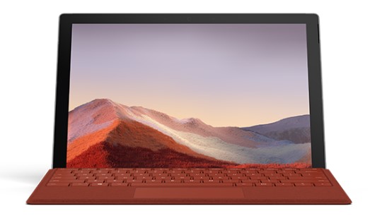 新政镇清洁和维护 Surface